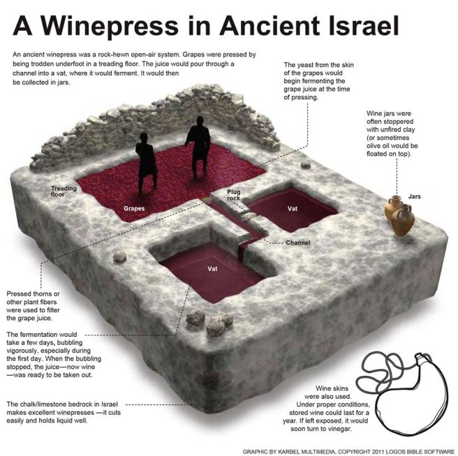 A Winepress in Ancient Israel